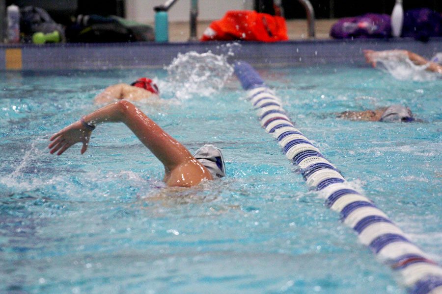 Swim and dive to participate in TISCA meet The Hawk Eye