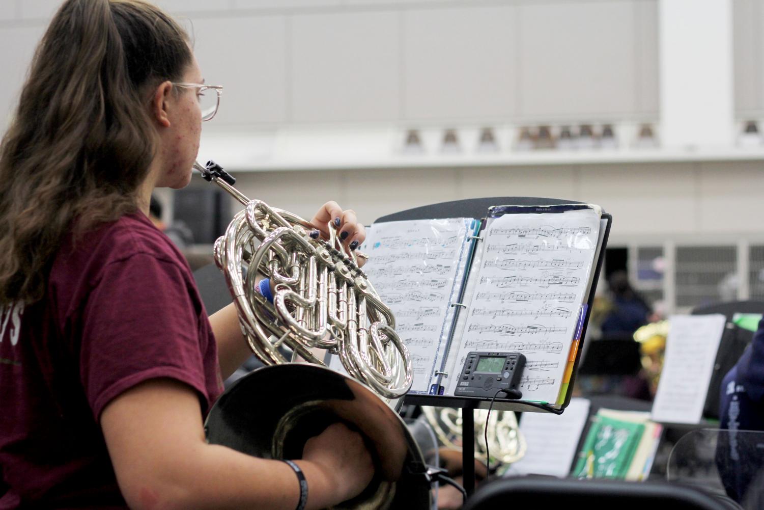 Band to perform at TMEA AllRegion concert The Hawk Eye