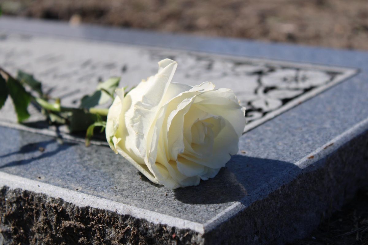 Every time I visit my grandpa’s grave, I leave white roses. It’s never any other flower, always the same to symbolize that no matter when I come or how long it’s been, the foundation of my love for him will always stay the same — the flower will always stay the same. 