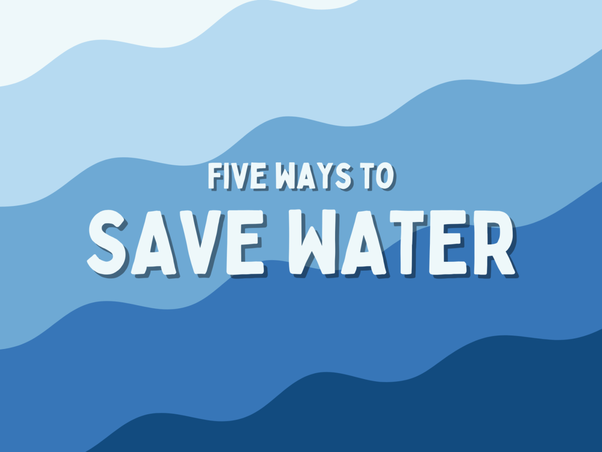 Infographic: Five ways to save water